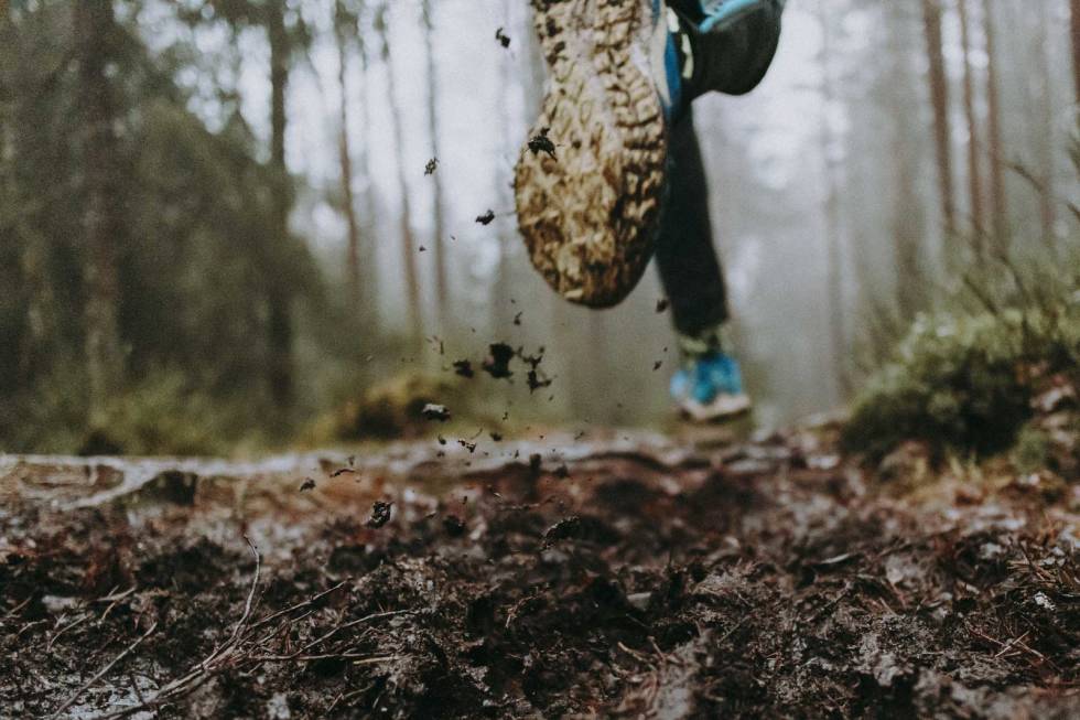 FARTSLEK: På skogsstier må du tilpasse deg underlaget du løper på. Fartslek kan være en fin intervalløkt både alene og sammen med andre. Foto: Kristoffer H. Kippernes intervalltrening