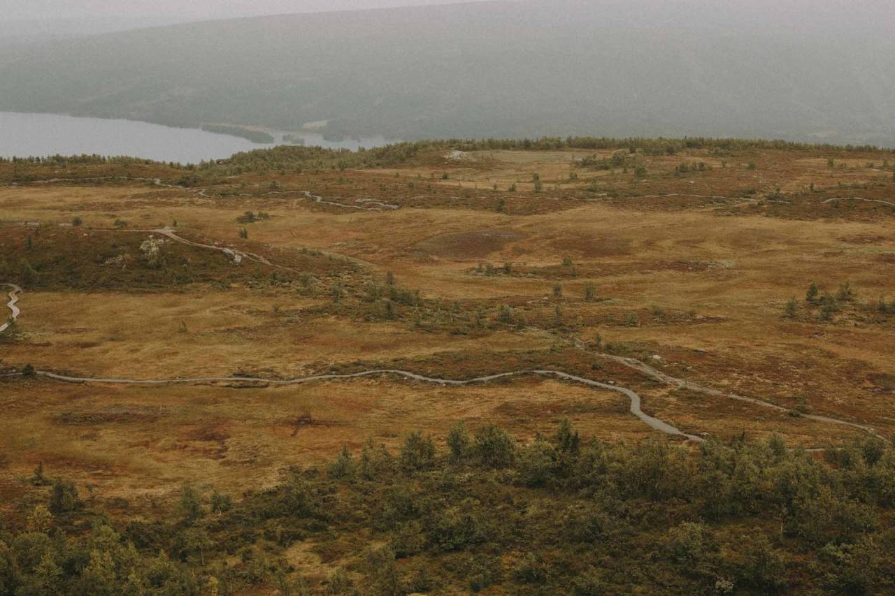 FINE STIER: I terrenget bak Beitostølen sentrum er det fint å sykle. Foto: Kristoffer H. Kippernes sykkeltips beitostølen