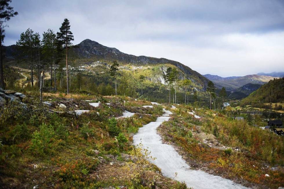 POPPIS: Stisykling har blitt en populær familieaktivitet - her får du en intro til hvor du kan drive med det. Foto: Kristoffer H. Kippernes stisykling hemsedal