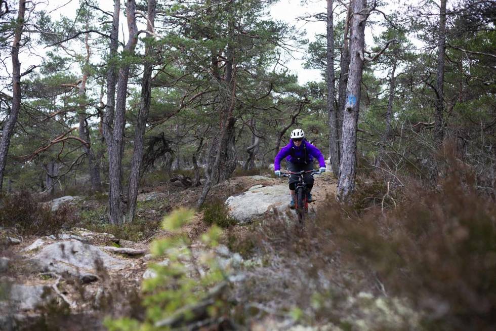 FINT TERRENG: For sulteforede syklister kan Fredrikstad by på fin sykling i vinterhalvåret. Foto: Kristoffer H. Kippernes stisykling fredrikstad tips