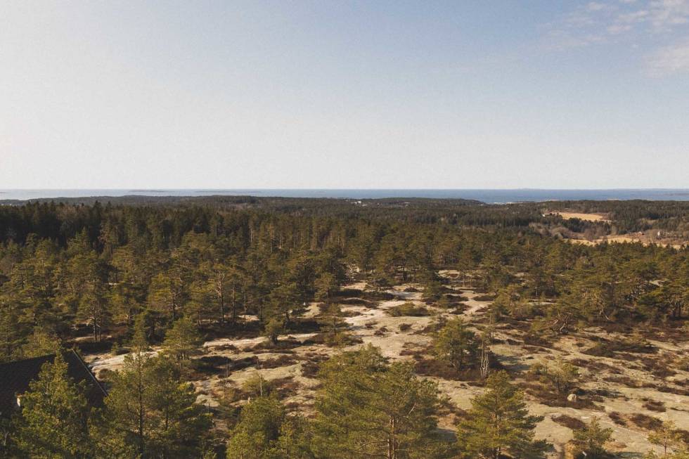 SYKLE PÅ SVABERG: Svabergene i Gressvik utenfor Fredrikstad byr på fin stisykling. Foto: Kristoffer H. Kippernes stisykling fredrikstad tips