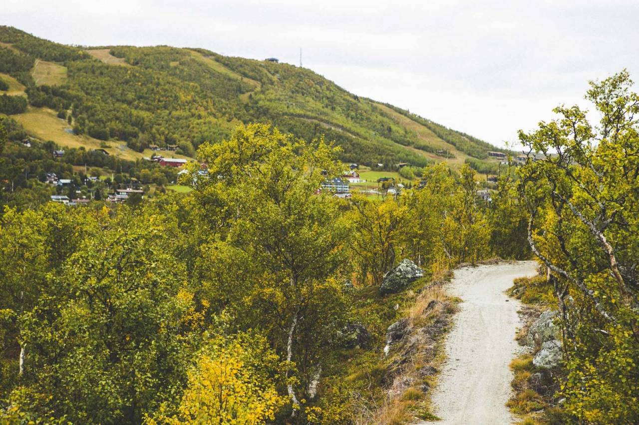 BRA TILBUD: Geilo har kanskje ikke like mange kilometer sti som for eksempel Trysil helt ennå, men tilbudet øker stadig. Her på en av signaturstiene ved Ustedalsfjorden. Foto: Kristoffer H. Kippernes stisykling høstferie geilo