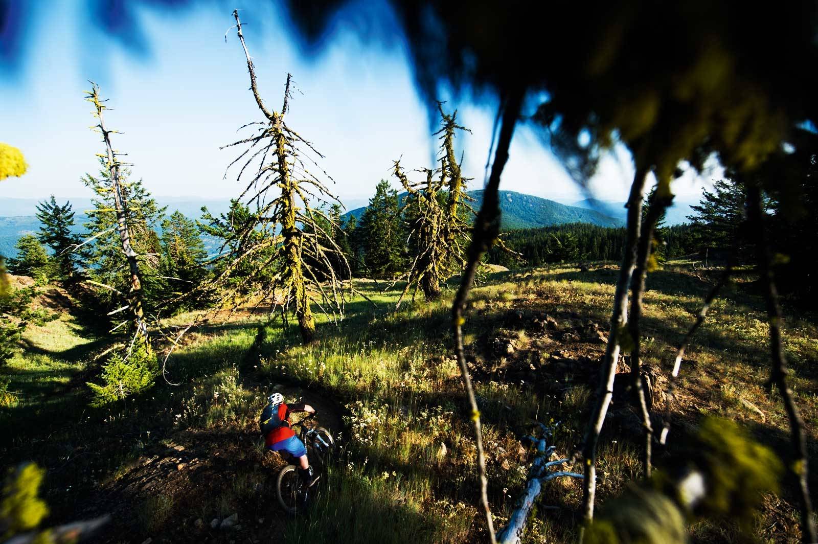 Et must: The Seven Summits Trail er en skikkelig klassiker, og noe som må gjøres hvis du drar til Rossland. Den 35 kilometer lange stien byr på variert sykling, og Mike Hopkins er en lommekjent lokal syklist som bruker denne stien ofte. Stisykling-guide-British-Columbia-Rossland-1