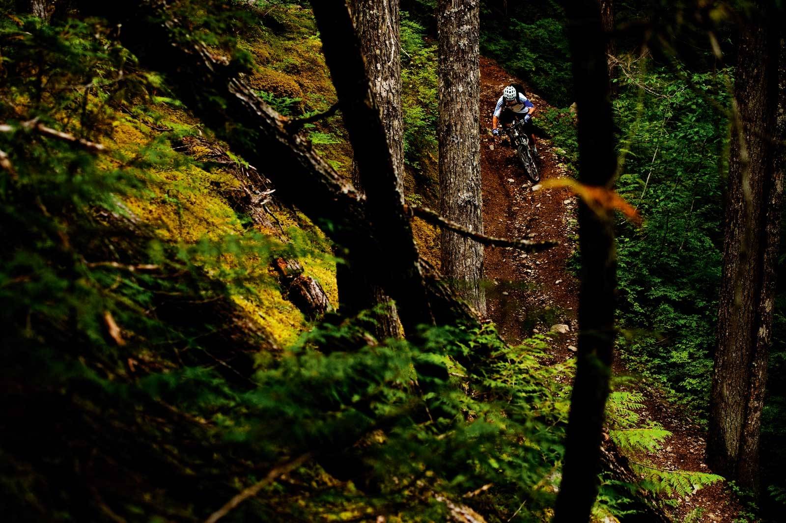 Pioneren: Richie Schley har vært en av de mest betydningsfulle personene i utviklingen av internasjonal terrengsykling, og spesielt sykling uten startnummer. Her er han sett ovenifra i en av Squamish´dype skoger. Stisykling-guide-British-Columbia-Squamish-1