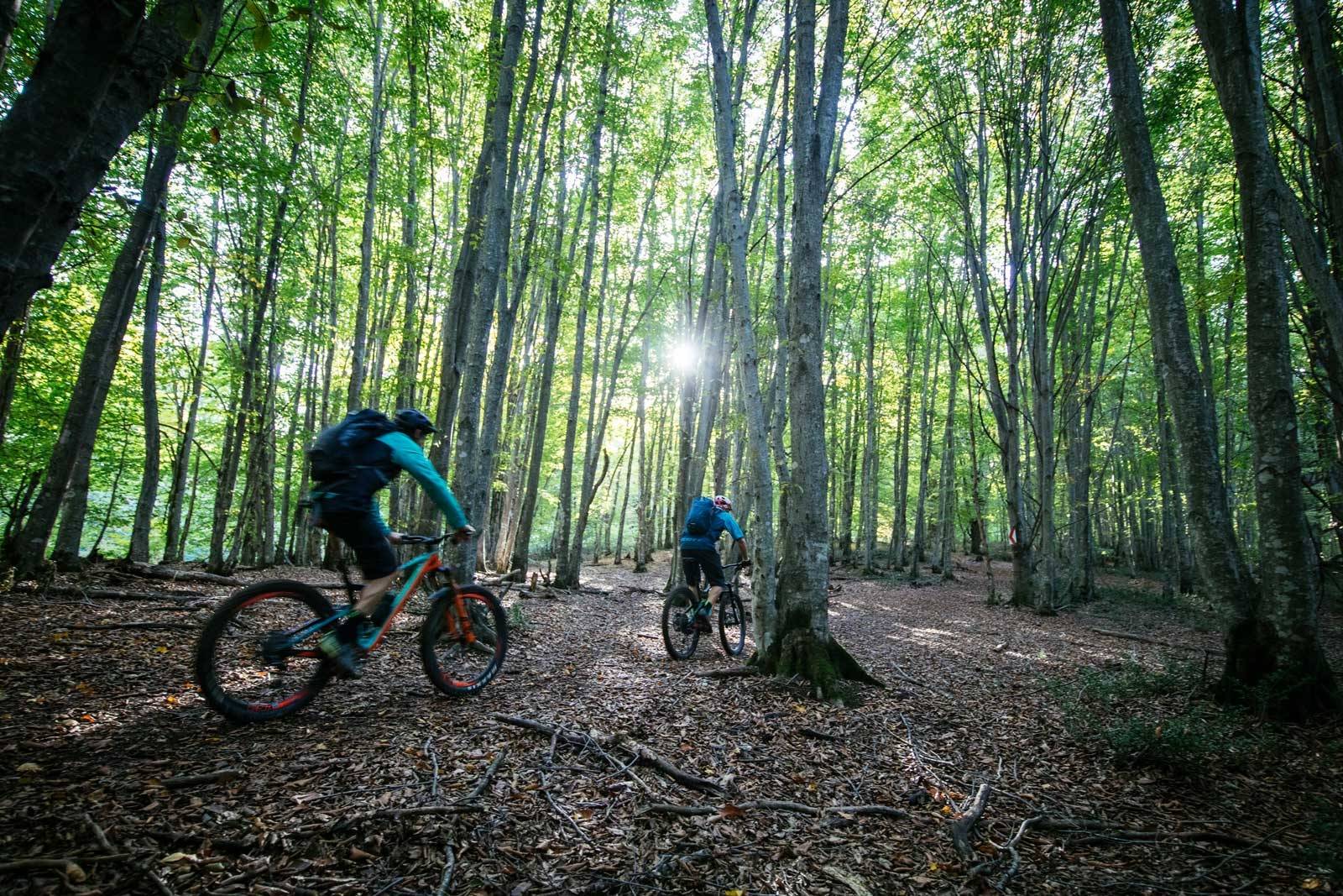FRODIG SKOG: Landet i midtøsten byr på mer enn bare sanddekt landskap. Stisykling-i-Iran-5