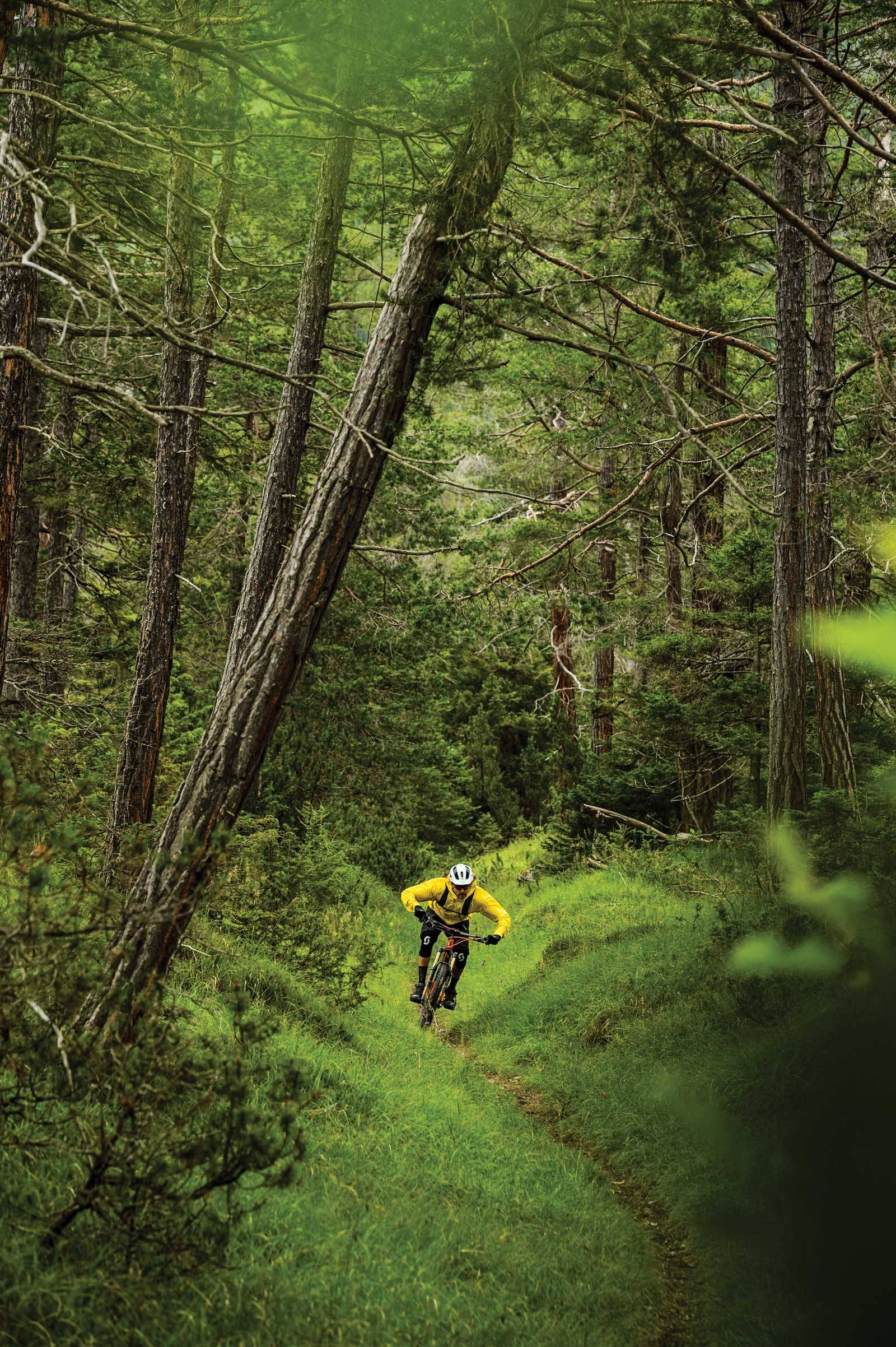 I LAVLANDET: Ikke glem å utforske stiene nede i dalen hvis været ikke spiller på lag. Janne Tjärnstrøm gjør nettopp det, i nærheten av byen Lantsch, mellom Lenzerheide og Tiefencastel. Det er lett å bare hoppe på postbussen tilbake til Lenzerheide. Stisykling-i-sveits-Lenzerheide-3