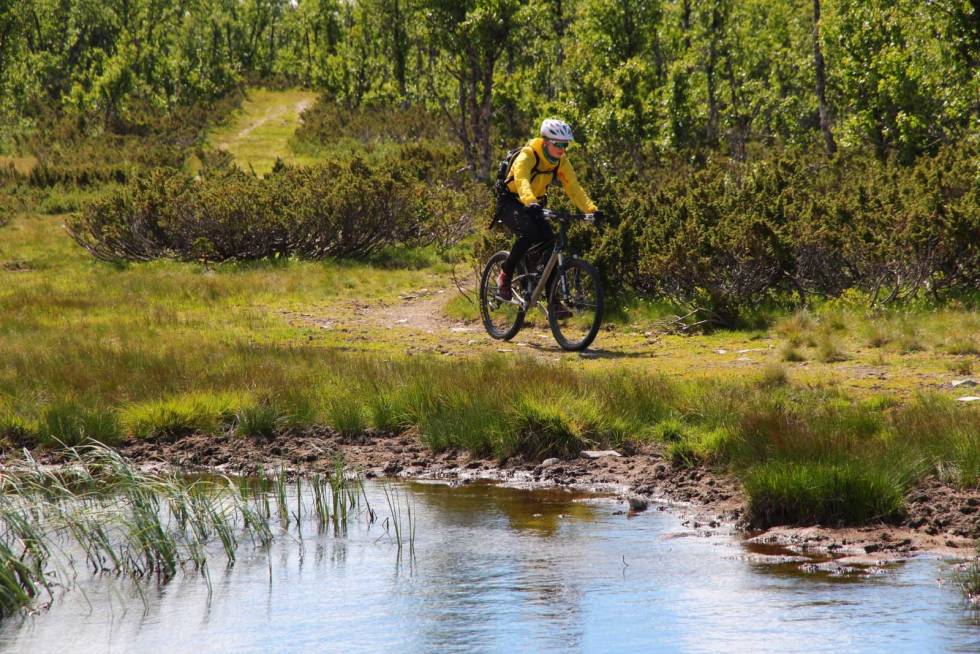 VARIERT: En lang tur i Øyerfjellet vil innebære både krevende terreng, og enklere partier som på dette bildet. Foto: Øyvind Wold stisykling øyerfjellet tips