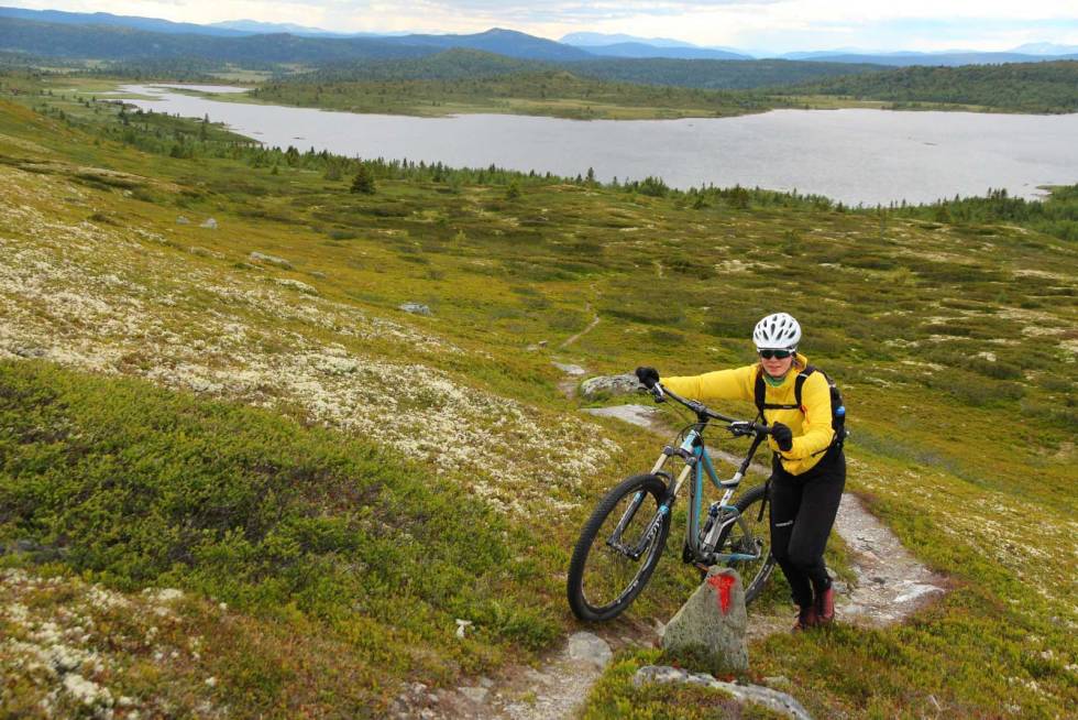 UTSIKT: Turen i Øyerfjellet byr på både fin utsikt og smale, fine stier. Foto: Øyvind Wold. stisykling øyerfjellet tips