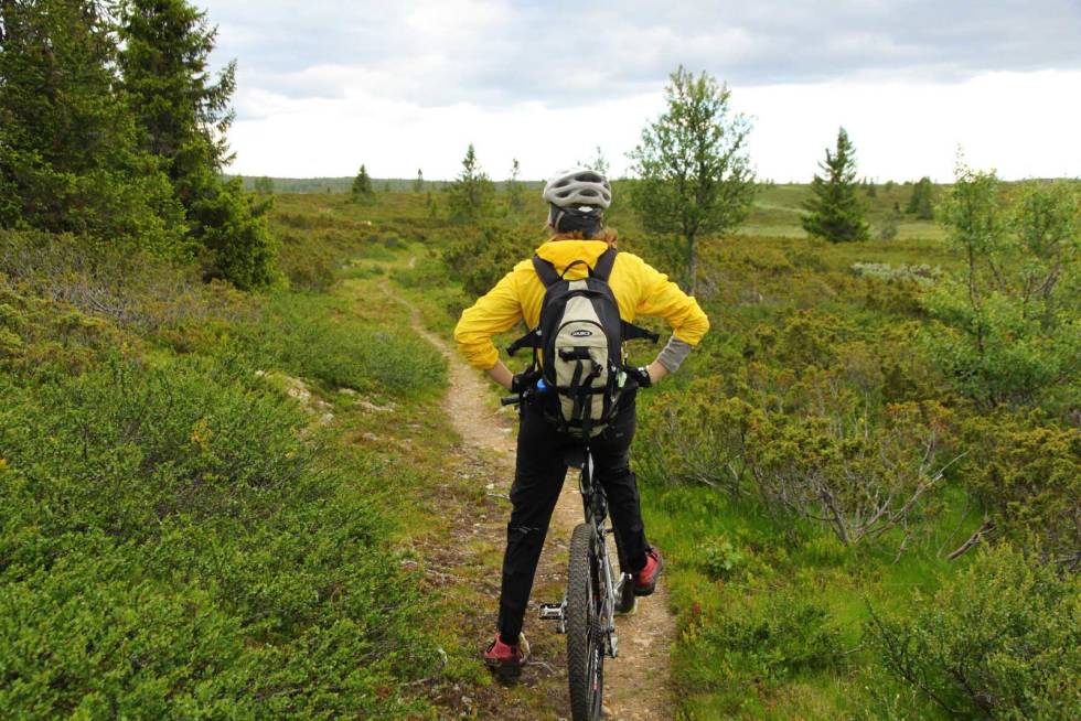 RUNDT NESTE SVING: Med et rikt sti-nettverk kan du finne mange turmuligheter i bakgården til Birkebeinerrittet. Foto: Øyvind Wold stisykling øyerfjellet tips