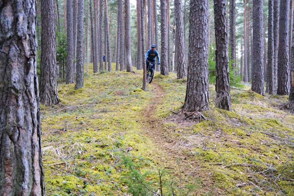 VÅREN PÅ PLASS: Fine forhold i Ringebu. Foto: Julia Hamre stisykling vår ringebu
