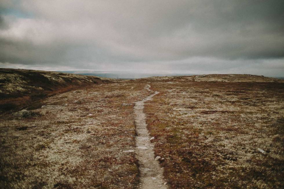 SMAL STI: Slike stier er det mange av på Røros. Foto: Kristoffer H. Kippernes stisykling røros