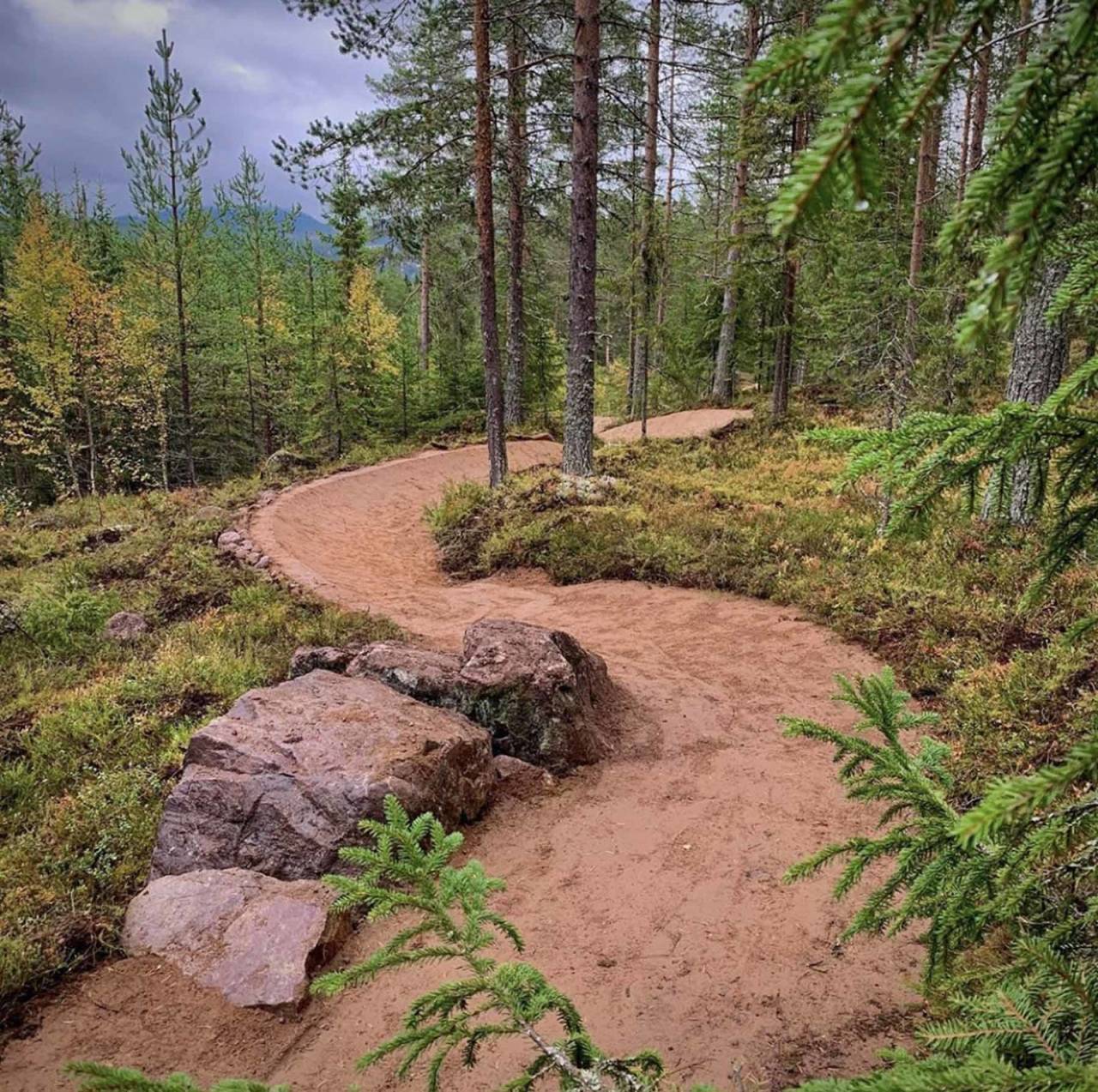 NY STI: Stien Papa Bear skal hjelpe på avlastningen av trafikk i Trysil Bike Arena. Etter bildene å dømme ser den også ut til å kunne by på god underholdning. Foto: Jonas Sjøgren. stisykling papa bear trysil