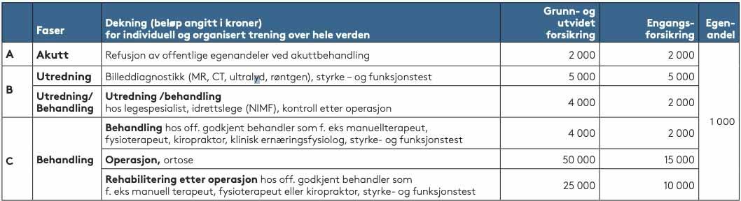 VILKÅR: Dette er vilkårene for akutte idrettskader. Dette er vilkårene for forsikringen om akutte idrettsskader.