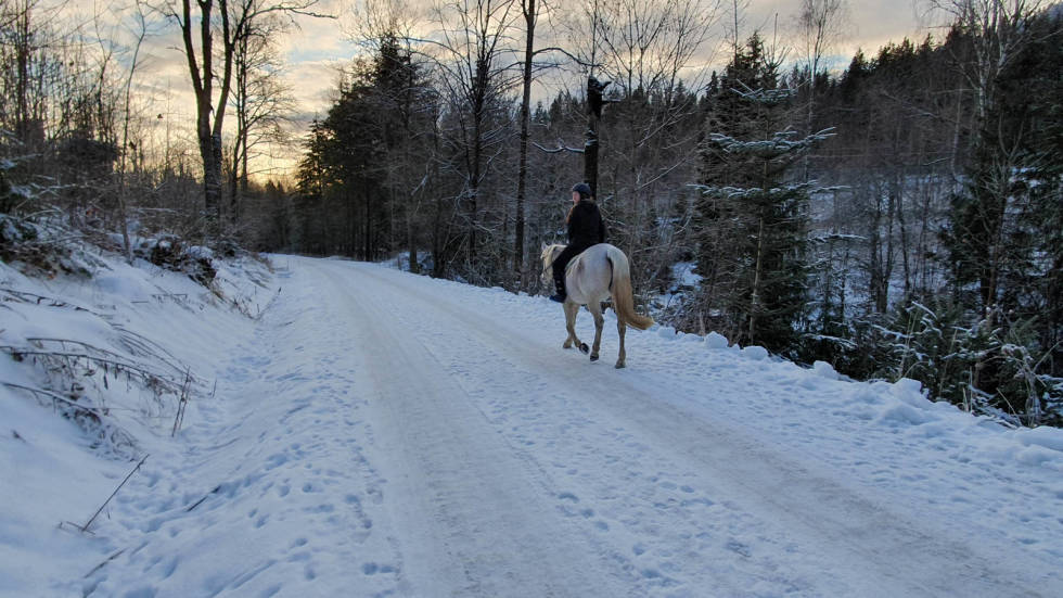 VIS HENSYN: Marka er full av hesteglade med julefri i disse dager - vis hensyn. sykkel nordmarka vinter