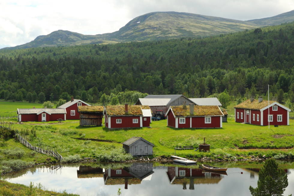SETERLANDSKAP: Ruta har ikke fått navnet sitt uten grunn. Foto: Øyvind Wold seterveien røros alvdal sykkel