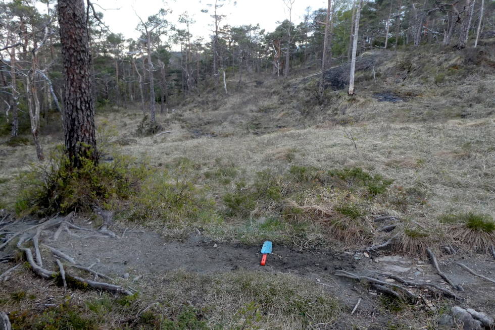 Her har NINA-forskerne gravet ned sykkelteller i en av stiene som har vært med på feltstudien om slitasje. Foto: Sofie Selvaag/ NINA Forskere fra NINA studerer om sykling sliter mer på stier enn turgåere