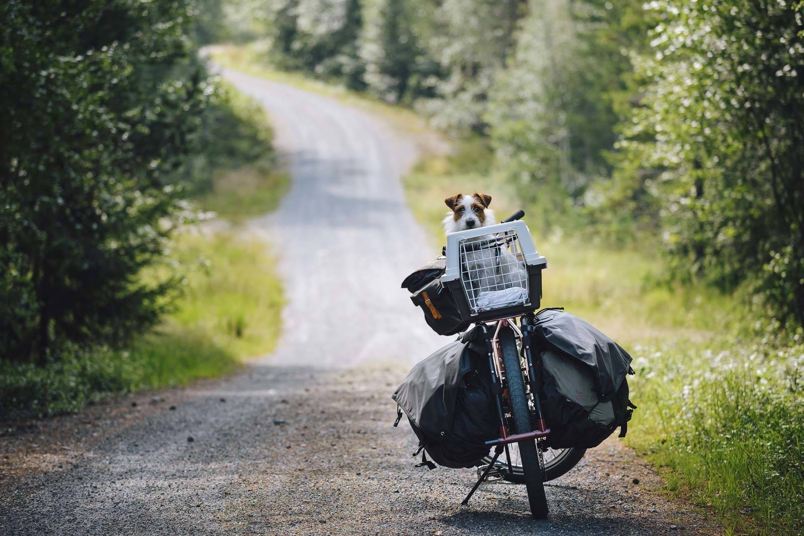 TUNGTRANSPORT: Faren ved å bruke en sykkel som familiens stasjonsvogn er at du kan ende opp med å pakke den som en stasjonsvogn. Sykkeltur-med-packraft-til-Fossvannet-2
