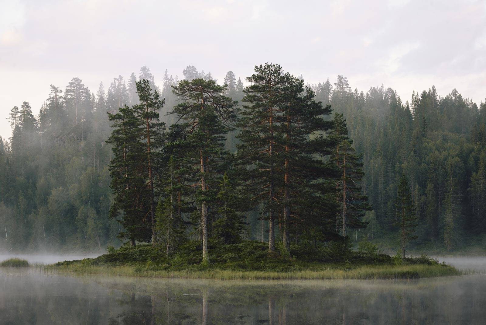 TÅKEMORGEN: Utsikten til naboøya på morgenkvisten er av typen som senker blodtrykket opptil flere hakk. Sykkeltur-med-packraft-til-Fossvannet-3