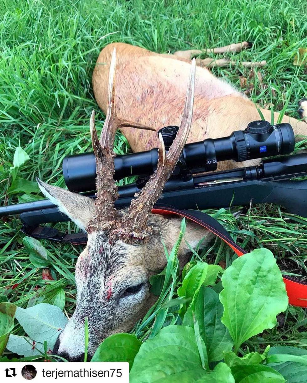 @terjemathisen75: Savner bukkejakta #blaserr8 #zeisshunting #jaktogfriluftgjøvik #zeissv8 Terjemathisen75