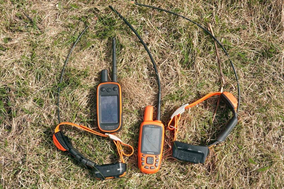 Større: T5-båndet (t.h) er litt større enn T5 mini (t.v), og avstanden til GPS'en er kortere på mini'en slik at det passer slankere hundehalser. Test-av-Garmin-alpha-50-og-T5-3