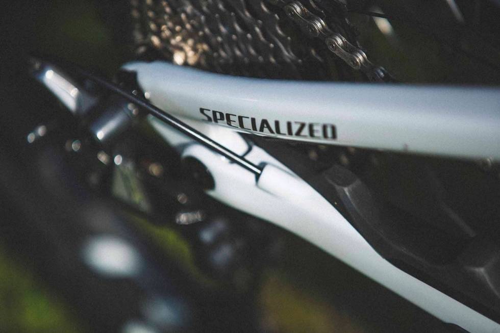 LINKEN TIL HAN HORST: Specialized har brukt det lille leddet på kjedestaget siden deres urfulldemper fra begynnelsen av 90-tallet.