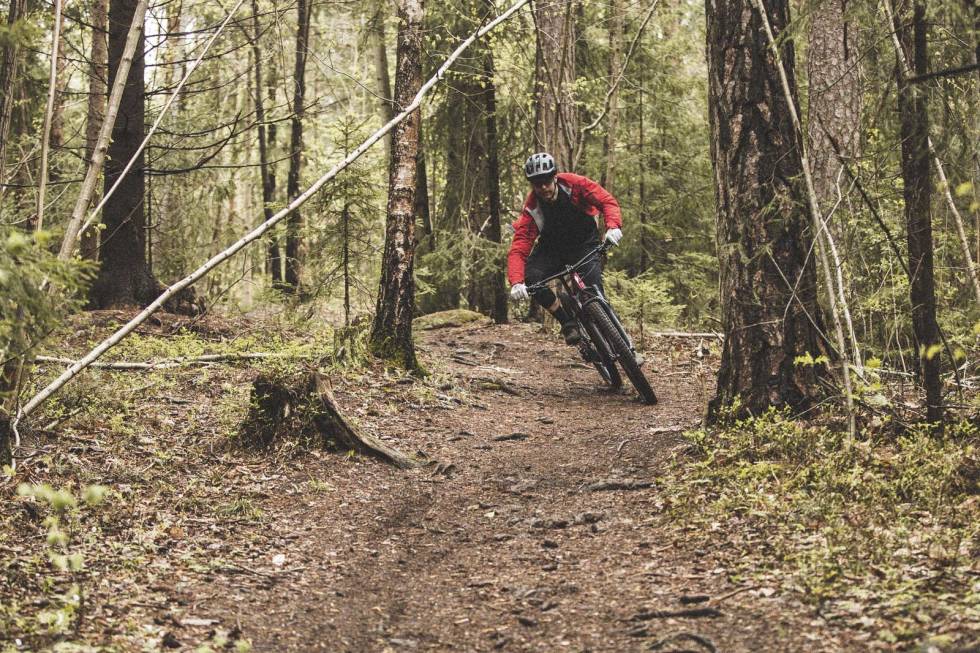 I SITT ESS: På raske, fine flytstier er Specialized Fuse Comp 29 på sitt beste. Foto: Øyvind Aas. test specialized fuse comp 29