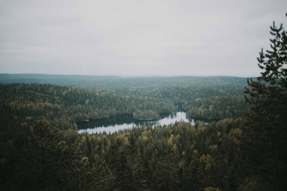 TONEVANN: En blå kilde i Østmarka. Foto: Kristoffer Kippernes tonevann østmarka