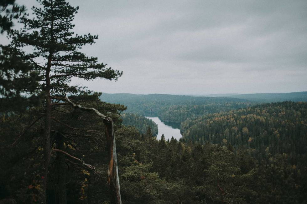 MOSJØEN: Et langstrakt vann ikke langt fra Vangen. Her sett fra Tonekollen. Foto: Kristoffer H. Kippernes Mosjøen Østmarka