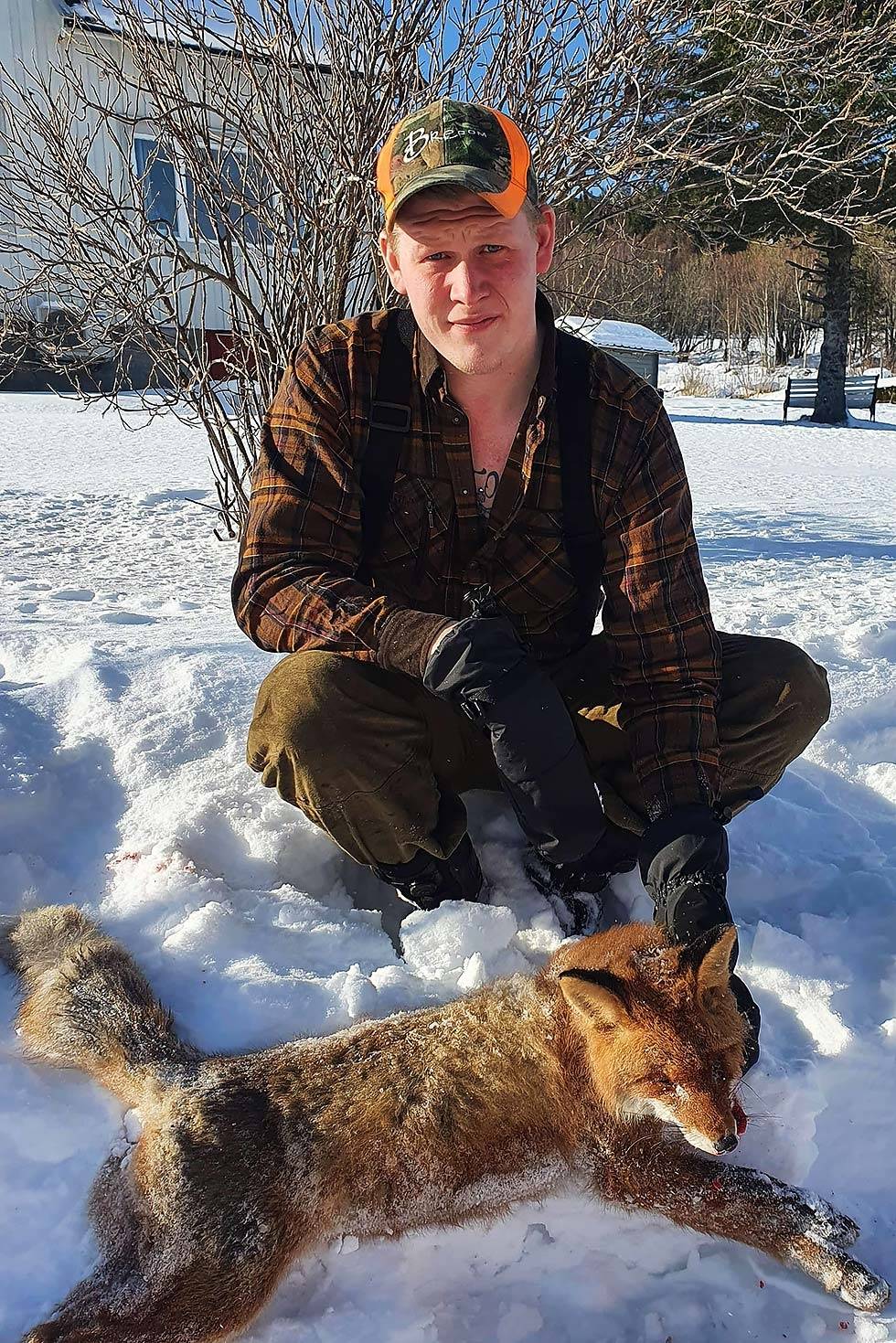 Joakim Frøsaker deler hvordan det går videre med haiåtet på sin instagramkonto @totenjeger. Foto: Privat Revejakt rev skutt på åte