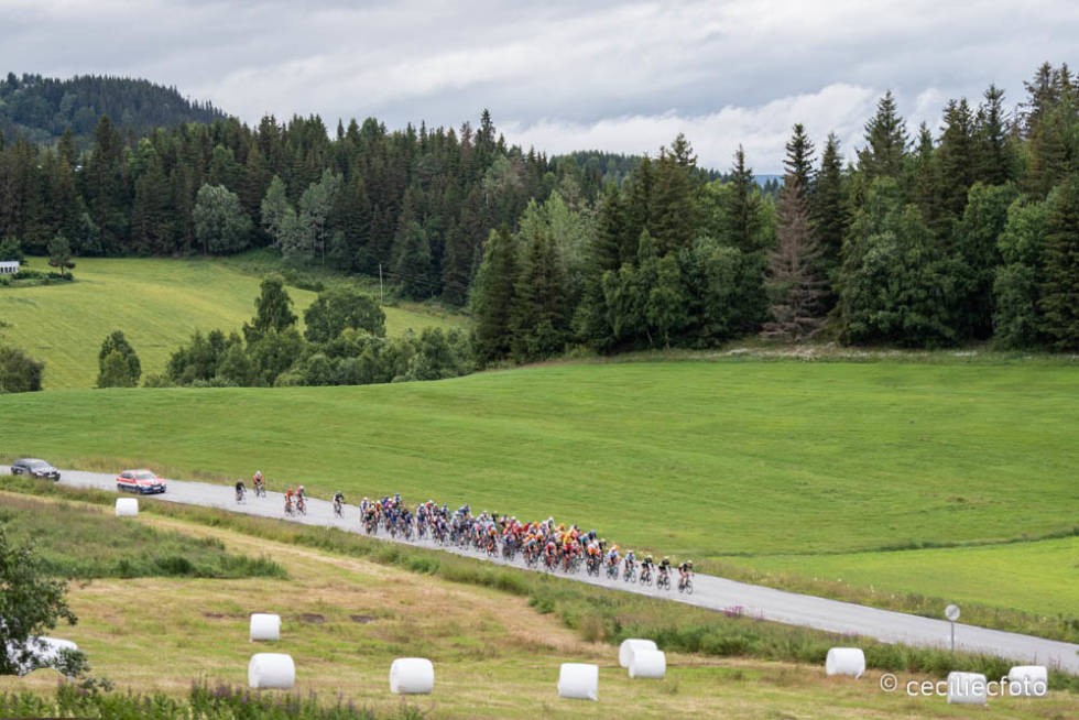 VAKKERT: Utsikten og omgivelsene var det lite å utsette på, for de som hadde tid til å nyte den. Foto: Cecilie Christensen Tour te fjells 2020