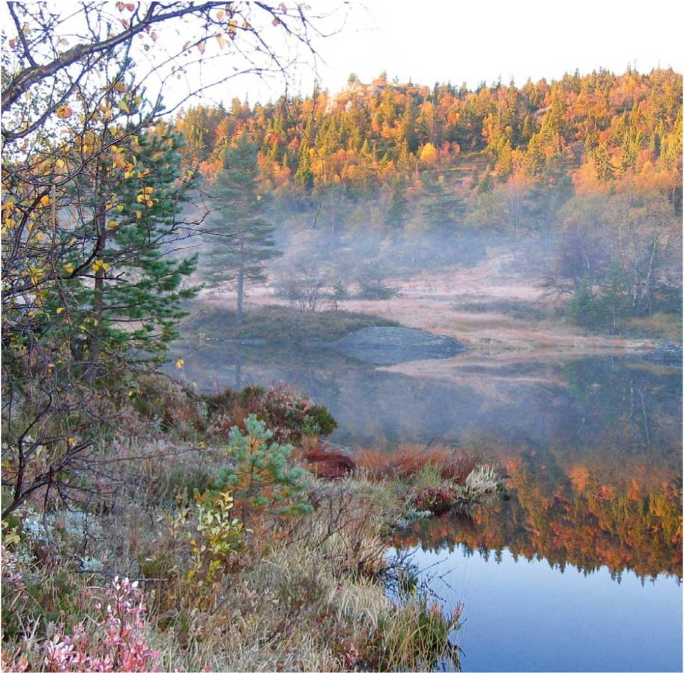 En stille høstdag i Austheiene, og naturen kommer nær. Foto: Arendal Turistkontor Tovdal-Ann-Kristin-Robstad-Jørgensen-Arendal-Turistkontor-3