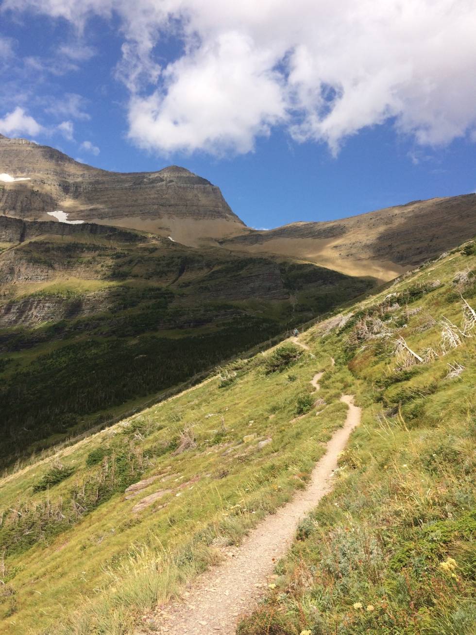 TRAIL: Stier som minner om lange distanser. Foto: Henriette Gelink trails outdoor recreation