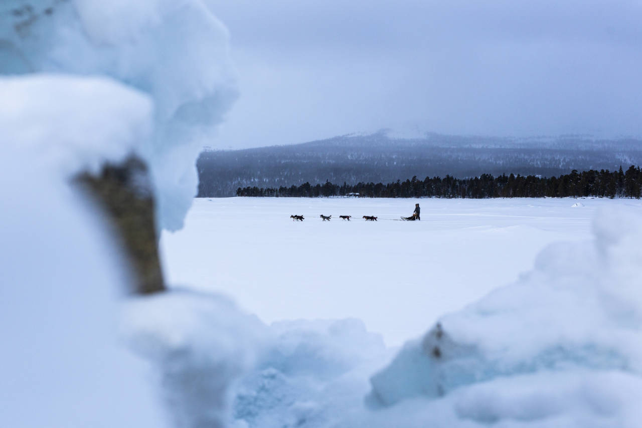 TRENINGSTUR: Gode treningsforhold i Alvdal. Her på Savalen der det er fint å trene uspora og på kommandoer. Foto: Marte Stensland Jørgensen trening for hundekjøring