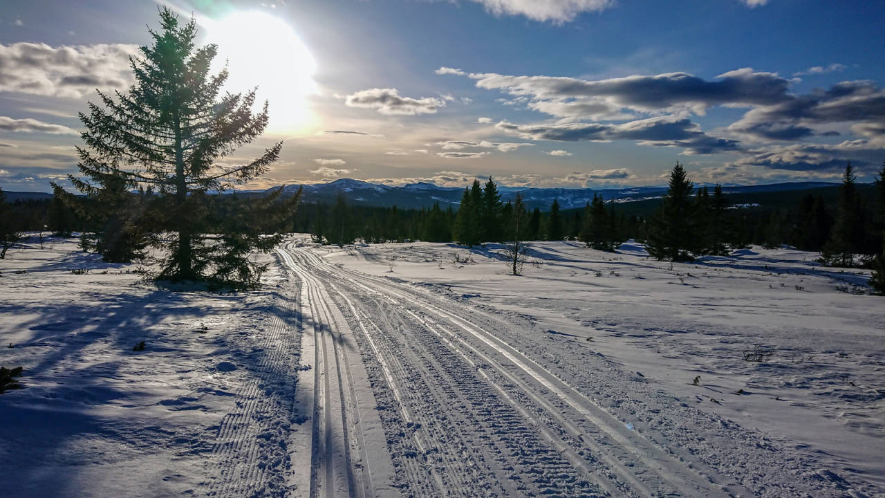 MOT SLUTTEN: Løypene gjennom Fåvang Østfjell mot Hafjell var nykjørte og ga god motivasjon for de siste 40 kilometerne til Sjusjøen. Foto: Matti Bernitz Pedersen trolløypa skitur langrenn