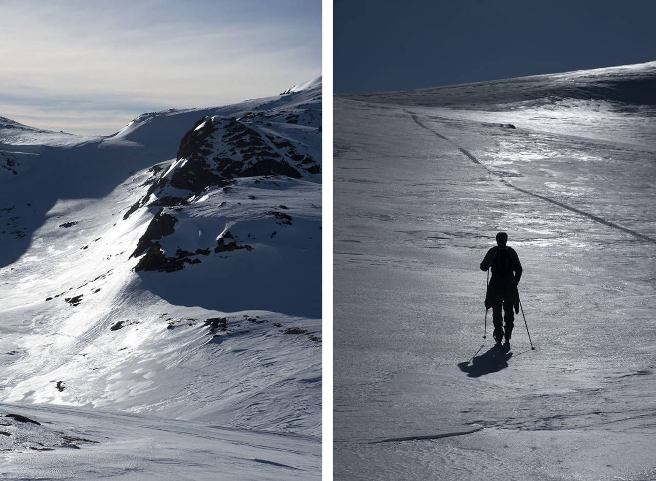 REINSBOTNANE: Dagane er lange og varme og sola steiker i det me går oppover frå Reinsbotnane. Foto: Signe Fuglesteg Luksengard tur reinsbotnane fossedal blåbergo