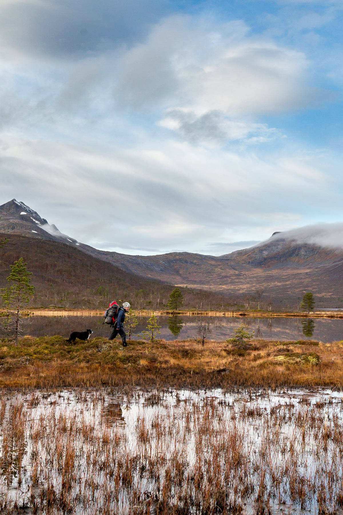 GÅ BAK: «Gå bak» er en fin kommando å bruke i bratte fjellskrenter, men og i møte med folk og andre dyr på tur. Foto: Therese N. Andersen turhund6