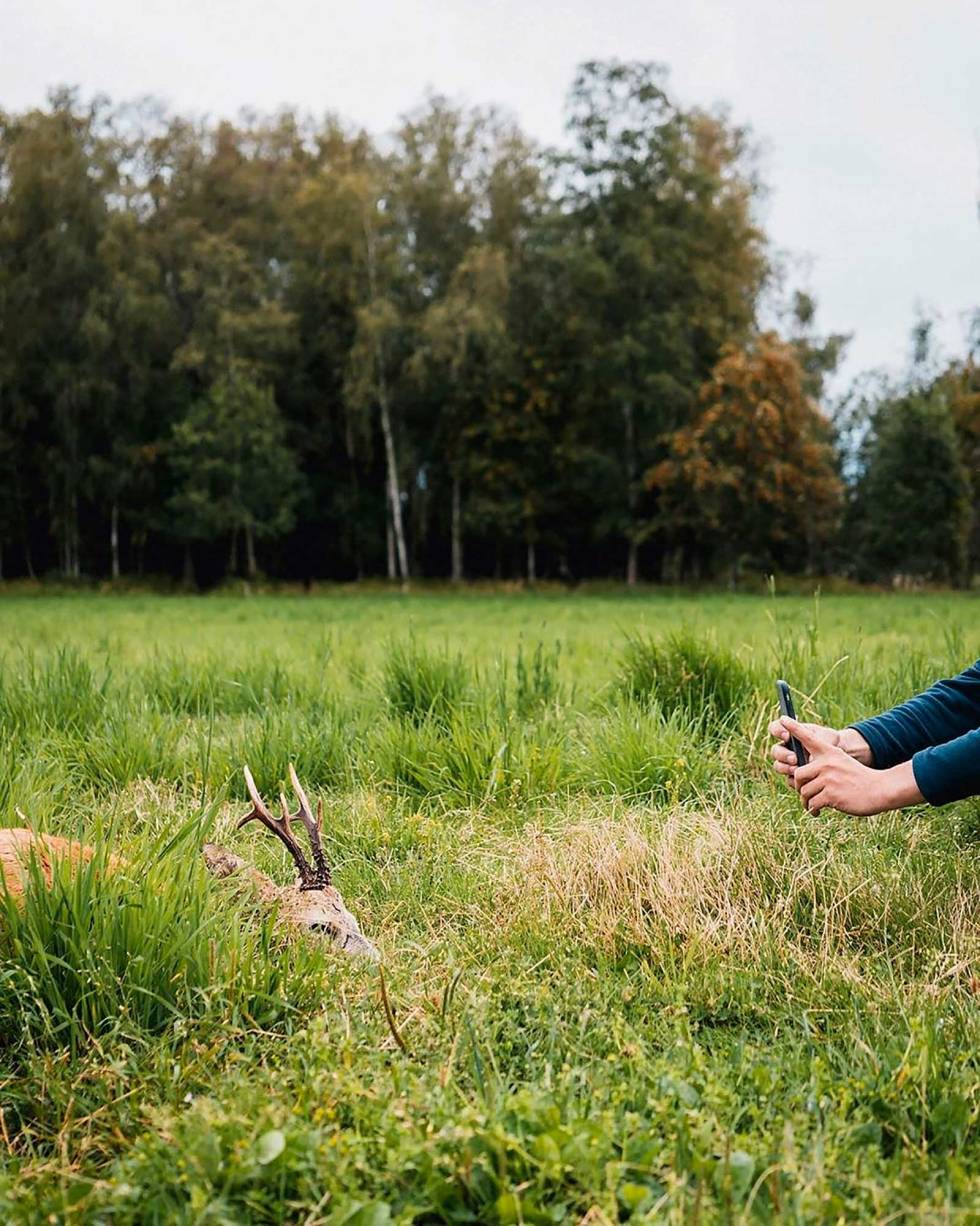 @ull_berg: Social media and hunting caught me off guard, and has opened up a new world for me when I started to look at hunting photos on Instagram. From new ways of hunting, to hunting traditions, I have both been inspired to think differently when I hunt, and to seek out new experiences. My photography skills have also improved and I have met a ton of cool people. #bukkejakt #huntingphotographer #huntingphotos #nordichunter #vildmarken #huntepicweekends ullberg