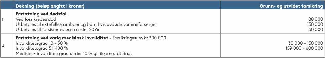 VERSTE TILFELLE: Er ulykken alvorlig, har forsikringen vilkår også for dødsfall og invaliditet. Erstatning ved alvorlige skader eller dødsfall.
