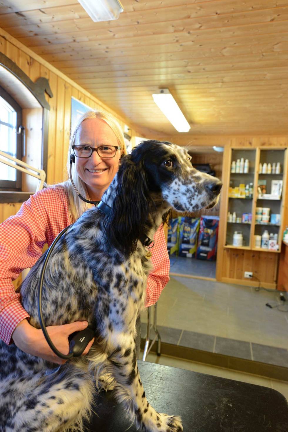 FULL SJEKK: Veterinær Michelle Svae anbefaler grundig helsesjekk av tispa før paring, samt å sjekke at alt av vaksiner er fulgt opp. Valpeskolen-Jakthund-3