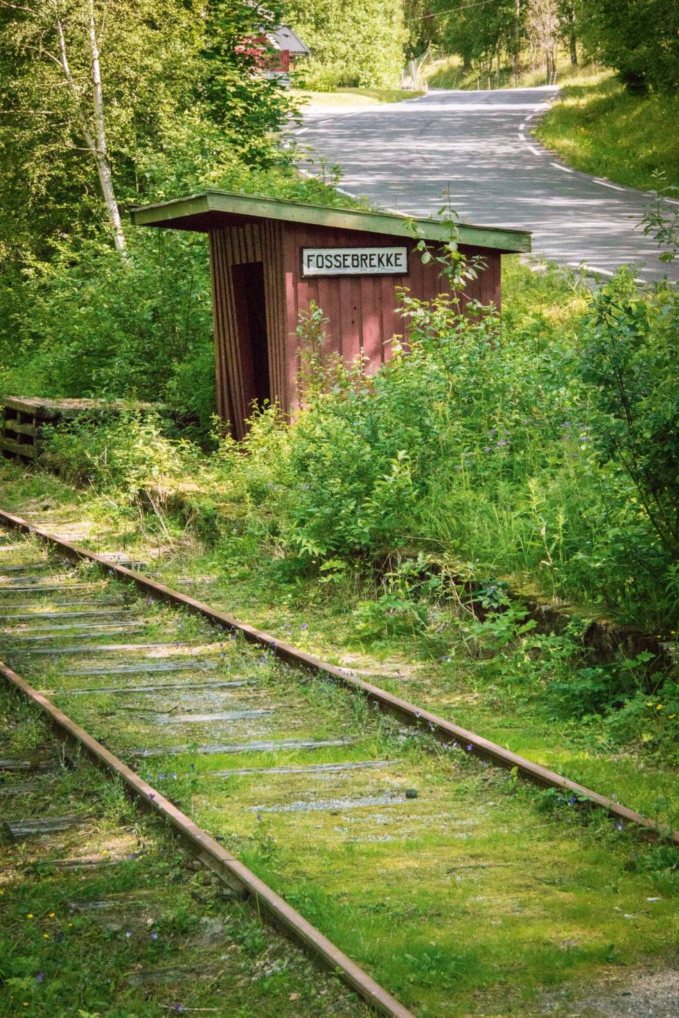 SMÅSTOPP: Flere av stedene toget stoppet var så små at de ble kalt holdeplasser, ikke stasjon. Ellers kan du nyte både ferske egg og sjeldne skilt langs Norefjorden. Veggli-Imingfjell-Rødberg-Sykling-4.1