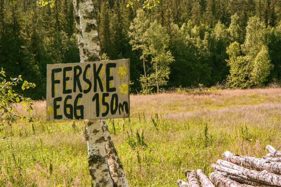 SMÅSTOPP: Flere av stedene toget stoppet var så små at de ble kalt holdeplasser, ikke stasjon. Ellers kan du nyte både ferske egg og sjeldne skilt langs Norefjorden. Veggli-Imingfjell-Rødberg-Sykling-4.2