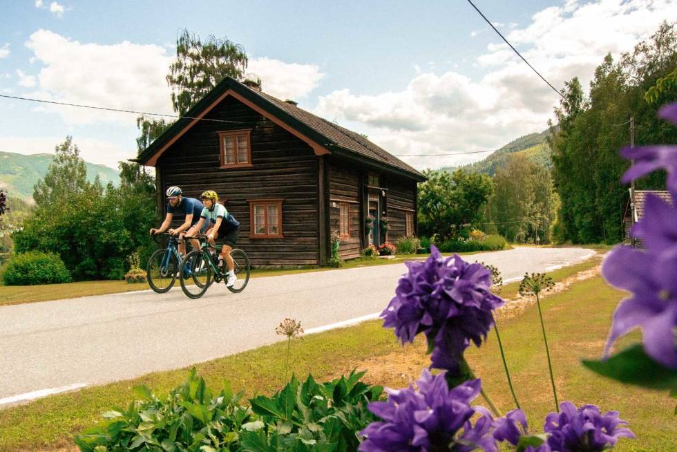 BAKSIDEN: Veien på vestsiden av Norefjorden er svært lite trafikkert, og er full av severdigheter langs veien. Veggli-Imingfjell-Rødberg-Sykling-5