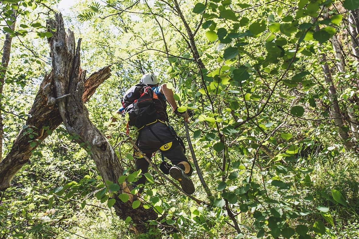 LOEN-JUNGEL: – Det hender at jeg ser taustumper. Som begynner å røre på seg. Foto: Line Hårklau via ferrata loen