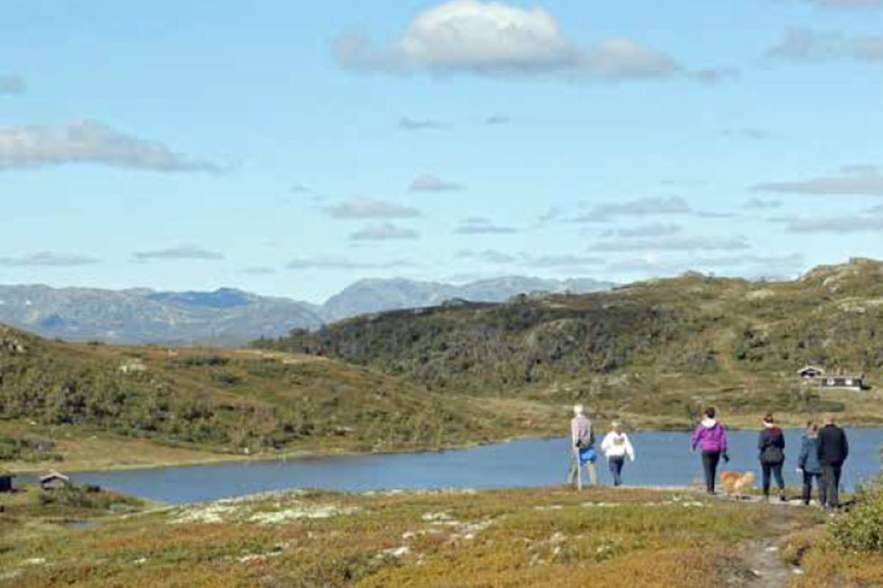Oksatjønn ligger vakkert til. (Foto: Erlend Larsen) Oksatjønn turguide Rauland Telemark