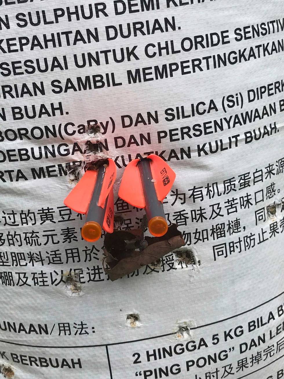 Tid for samling: En gammel rissekk fylt med sand på motsatt side av fiskedammen gjør nytten som innskytingsskive. Villsvinjakt-i-Malaysia-4