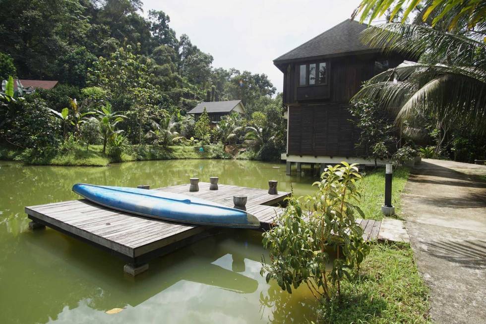 Spiskammers: Her avles både fisk og ferskvannsreker til kjøkkenet. Villsvinjakt-i-Malaysia-9