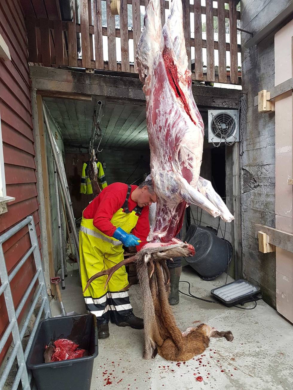 RENSLIGHET: Tenk hele tiden hygiene når vilt forvandles fra jaktobjekt til høykvalitativ råvare for kjøkkenet. Viltkjøtt-sunt-økologisk-5