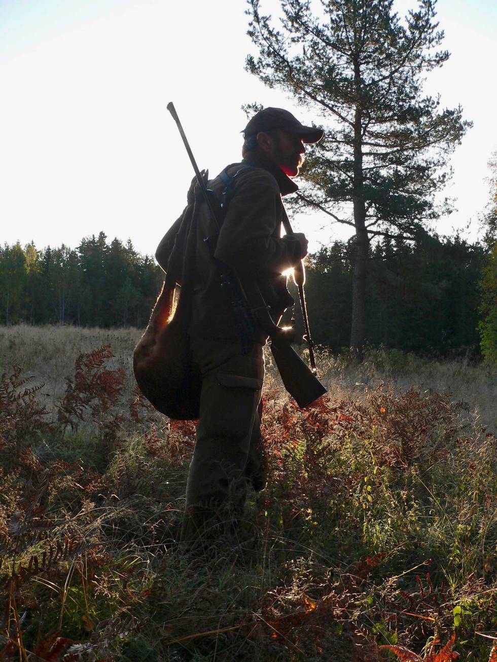 I POSE OG MAGESEKK: Det å felle et rådyr i en tidlig morgentime gir rikelig påfyll til både sjel og mage. Viltkjøtt-sunt-økologisk-6