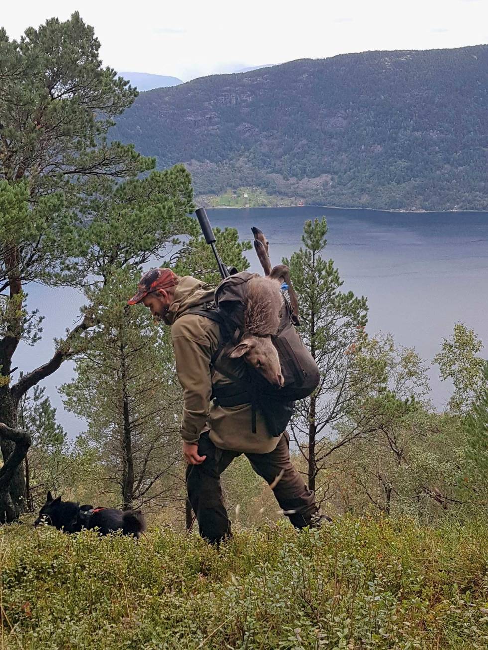 SMÅVILT: Fugl og hare har også velsmakende kjøtt, men bør kanskje ikke spises for ofte hvis det blir felt med blyhagl. Viltkjøtt-sunt-økologisk-9