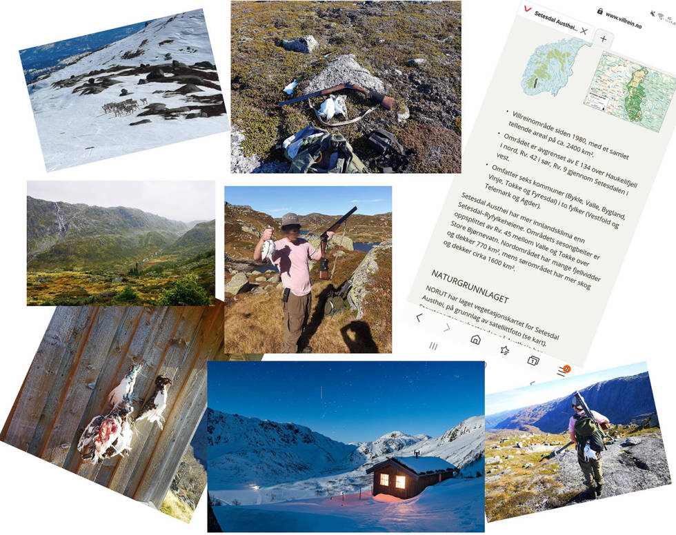 Kortselger Magnus Vinjerui sendte mange bilder av terrenget og seg sjøl på rypejakt (collage: JEGER). kollasje collage jaktterreng svindel telemark vinjerui